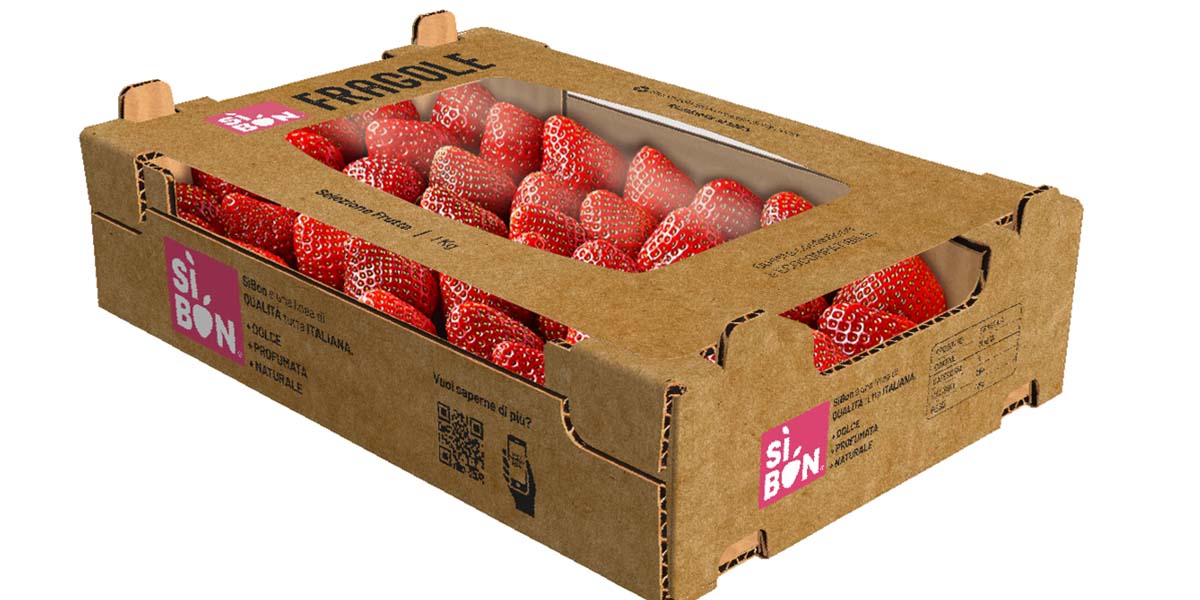 Ulma e Ghelfi Insieme per innovare il packaging: nasce il mini-collo termosaldato